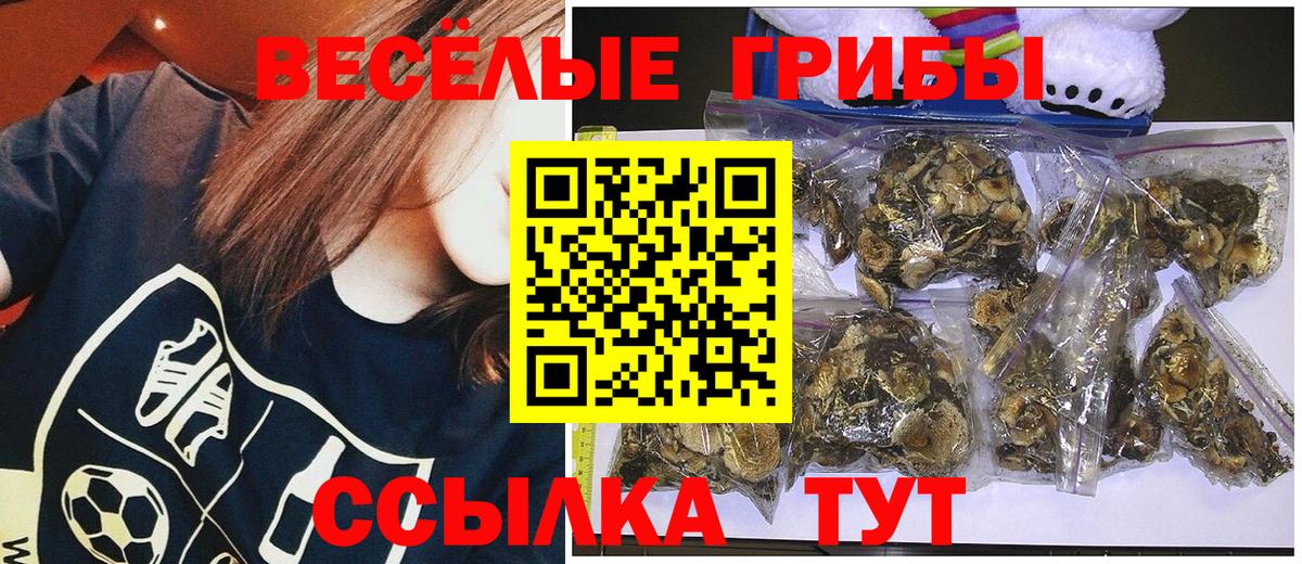 Галлюциногенные грибы GOLDEN TEACHER  Вход с VPN  купить наркотики сайты  Новоалтайск 