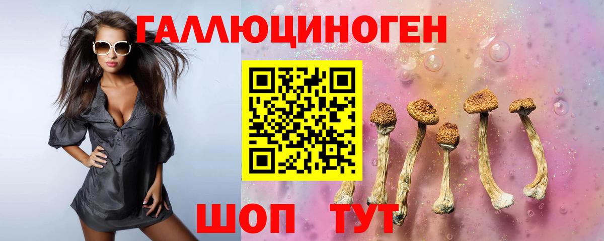 Псилоцибиновые грибы мицелий Новоалтайск