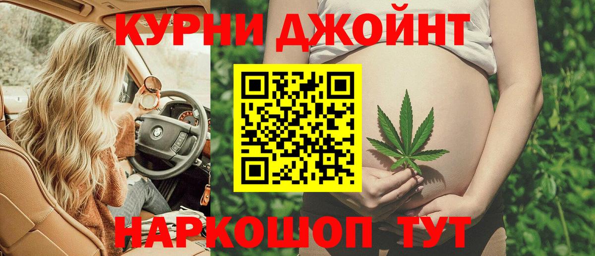 Каннабис сатива Новоалтайск